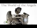 The World of the Angels - SSPX Sermons