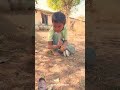 देशी बेर......&hearts;️👍 #fruit #gao #mango #villagelife #farming #food #gaav #bache #youtubeshorts  #gaon