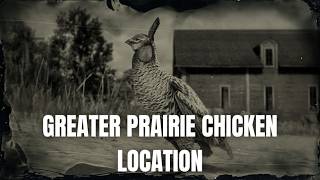 RDR2 Greater Prairie Chicken Location | Animal Locations