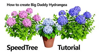 SpeedTree - Tutorial - How to create Big Daddy Hydrangea flowering shrub.