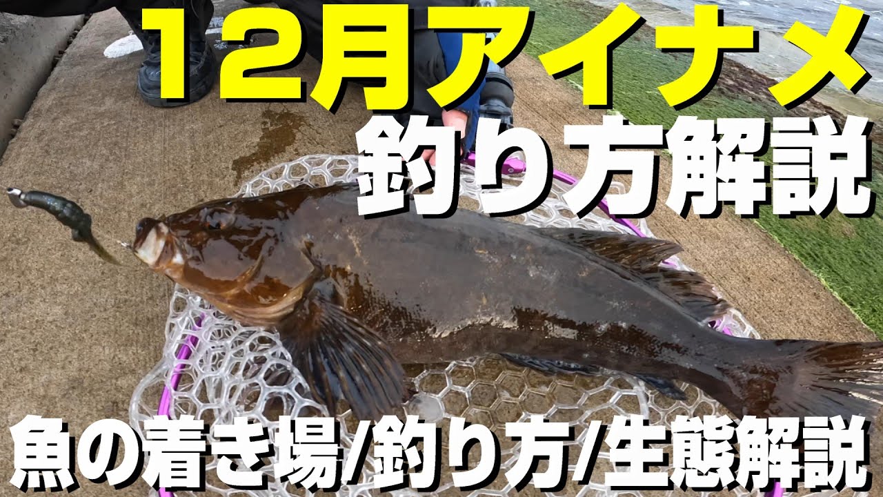 1釣り maxresdefault.jpg