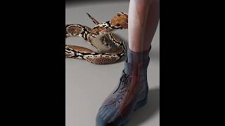 How To Know Venomous Or Nonvenomous Snake Bite 🤔#Facts #Shorts #Youtubeshorts