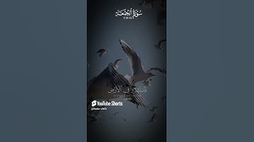 ايات من القران الكريم تلاوة ومقروء اجمل ايات الامل والسكينة ايات بينات من سورة الجمعة