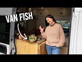 These Unique Pets Live In A Van - Must See Vanlife Pets