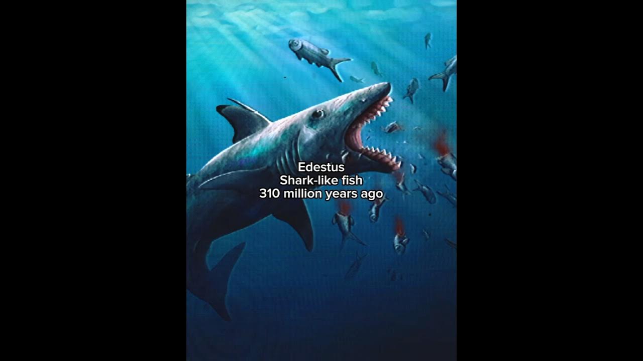 Crazy animals that are way older than the dinosaurs #dinosaur #dimetrodon #prehistoric Crazy animals that are way older than the dinosaurs #dinosaur #dimetrodon #prehistoric