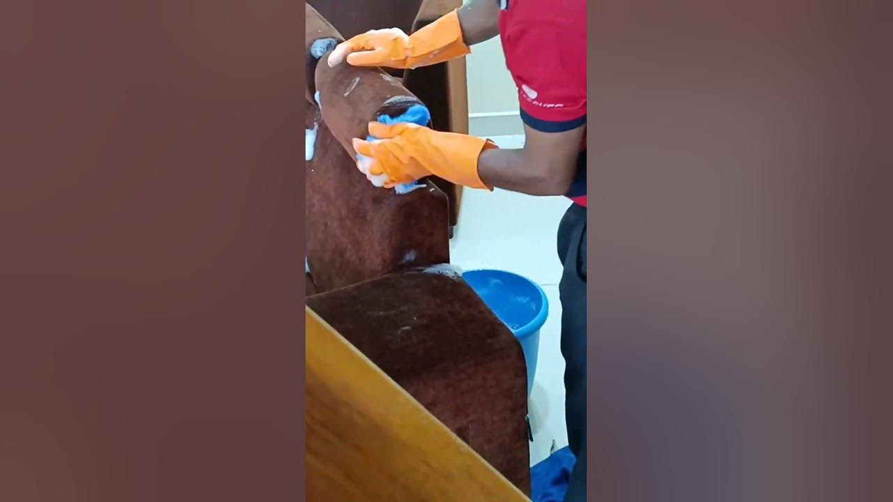 How To Clean Sofa At Home By Vacuum Cleaner shorts ytshorts how-to-clean-sofa-at-home-by-vacuum-cleaner-shorts-ytshorts