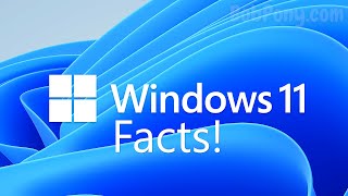 Windows 11 Facts