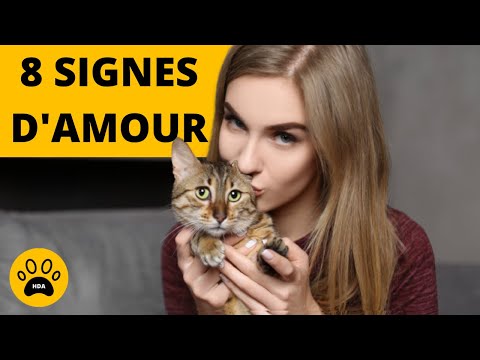 Vidéo: Comment Savoir Si Un Chat M'aime Ou Pas