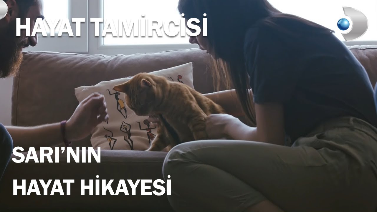 Sokak Hayvanları Tarafından Saldırıya Uğrayan Sarı'nın Hikayesi - Hayat Tamircisi 8.Bölüm