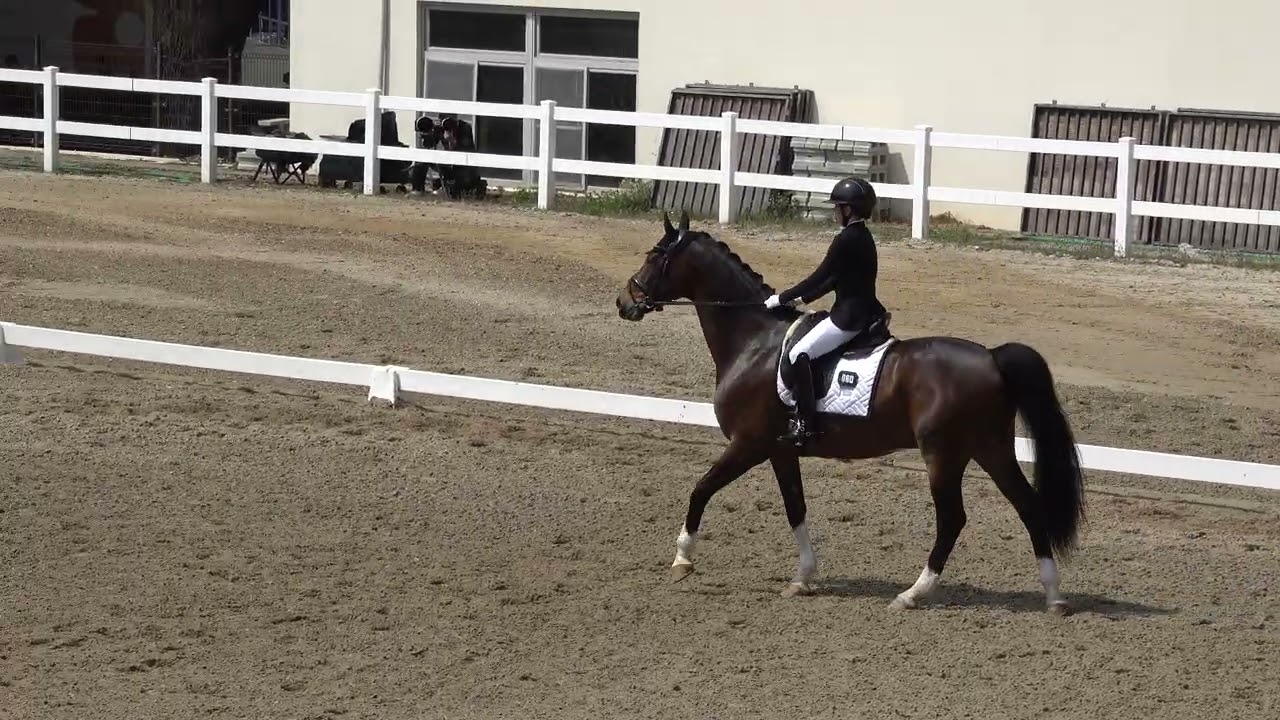 114學年度全國中等學校馬術錦標賽(馬場馬術) 高中組 Senior I 蔡伊娜