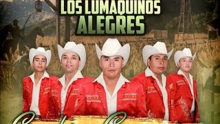 Los Lumaquinos Alegres - Mix 2021 - Edit
