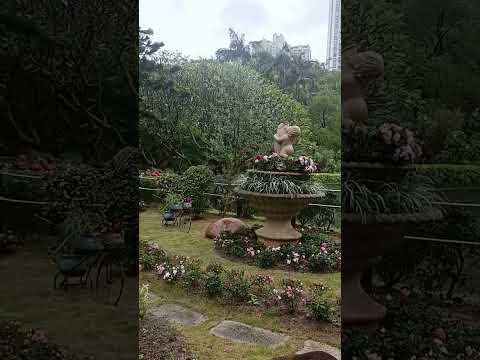 Video: Hong Kong Park'ın Peyzajlı Bahçeleri
