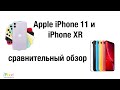 Сравнение iPhone 11 и iPhone XR