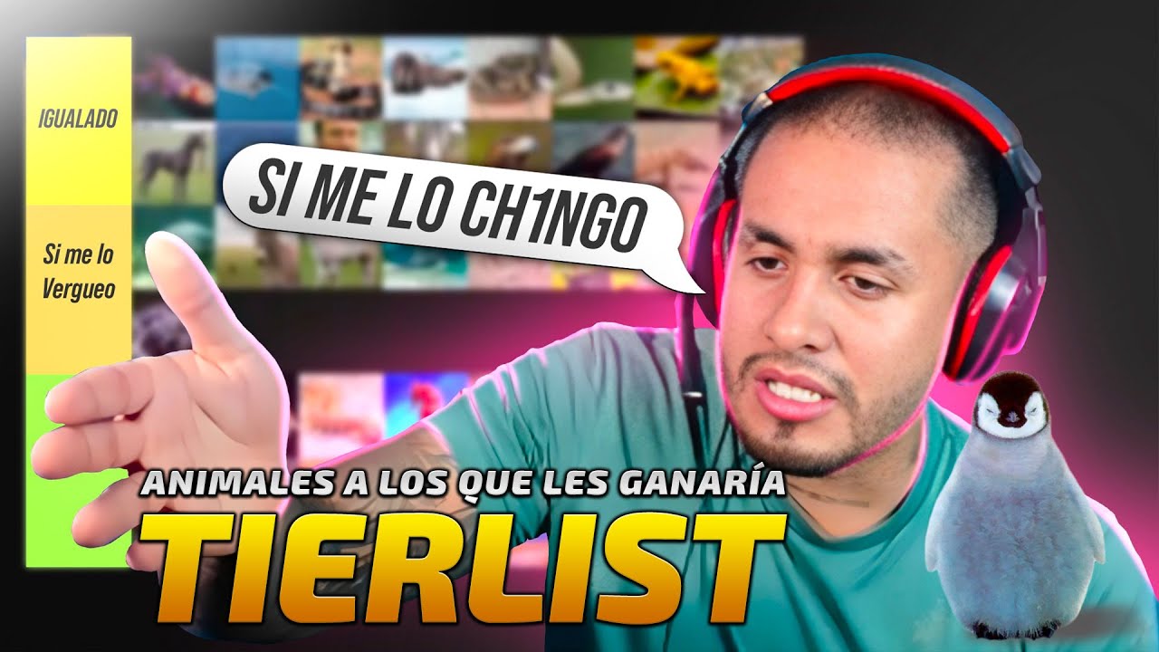 TIERLIST de Animales a los que podría derrotar mano a mano 💪
