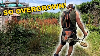 Download Lagu Massive Garden Clean Up! | Munros Maintenance Ep.6 MP3