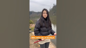 Gái xinh chộm câu cá bị anh chủ hồ bắt được bắt và cái kết #shortvideo #giaitri  #fishing