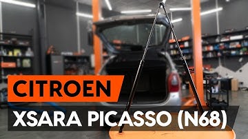 Hoe een gasveer achterklep vervangen op een CITROEN XSARA PICASSO (N68) [AUTODOC-TUTORIAL]