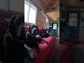 Dogs Take Over the Off Grid AC: Cooling Off During the Extreme Heat Wave! @MrcoolComfort