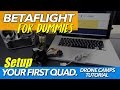 BETAFLIGHT SETUP FOR DUMMIES