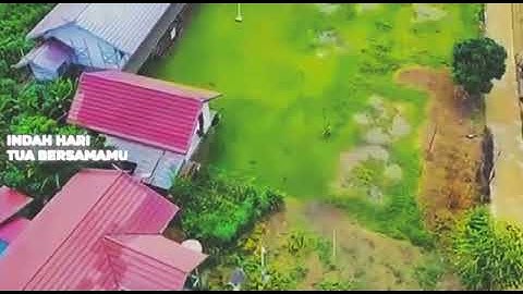 Desa Tumbang Manyarung Kec. Mandau Talawang Kab. Kapuas. Sungguh.....Sungguh Mempesona Alamnya