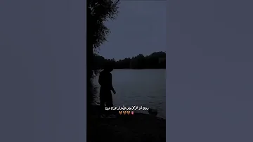 صوت خشوع يبكي الحجر قران كريم 