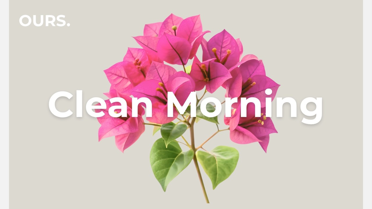 Clean Morning 🌿 | Chill House for Clarity, Focus & Peaceful Start