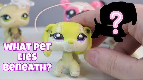 Removing Paint from My OLD CUSTOMS to See Which Pet is Underneath!