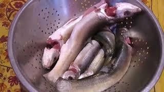 Catch And Cook Trout Fishing Kashmir