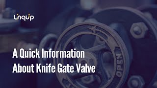 A Quick Information About Knife Gate Valve