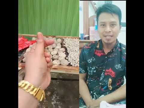 Indonesische gehaktballen