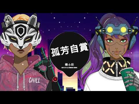 孤芳自賞 - 楊小壯 ⚡ DJ CHINESE REMIX ⚡ HOT DOUYIN - HOT TIKTOK - 热门抖音