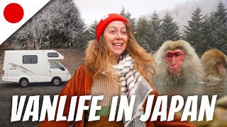 The Most Magical Place in Japan?? Winter VANLIFE (Japanese Campervan)