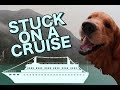 CRUISING WITH A SERVICE DOG | Travel Vlog