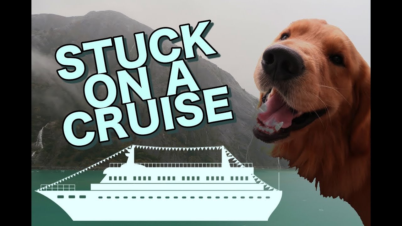 cruise with service dog