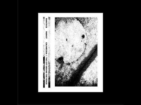 Calineczka — Calineczka ‎- The City Behind The Fence