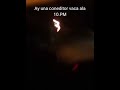 Un conedito vaca en Darién