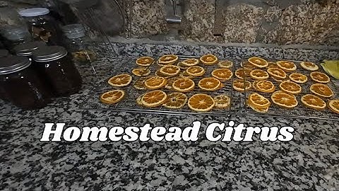 Tiling Floors with Help and Robotic Lawnmowers -285