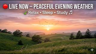 🌅 Peaceful Evening Weather Live | Relaxing Sunset Ambience 🍃 Soft Piano&Nature Sounds #Relaxing screenshot 1