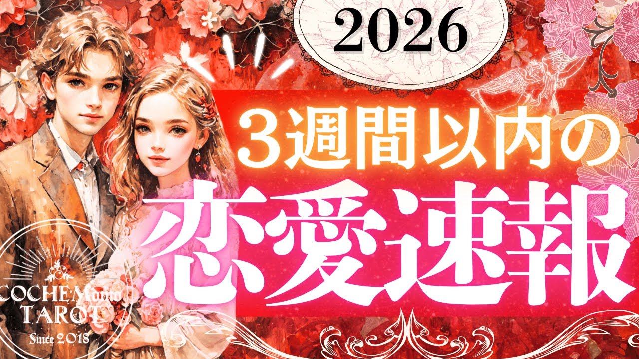 2026年💗緊急動画❣️💗3週間以内の恋愛速報⛩️正直今来てます💗お