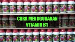 CARA MENGGUNAKAN VITAMIN B1