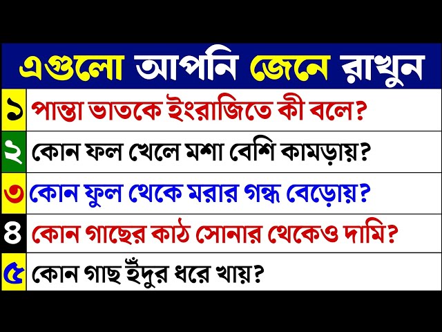 Tara Reed porno va videolar Jinsiy missiya yoki Amazonning yangi sarguzashtlari