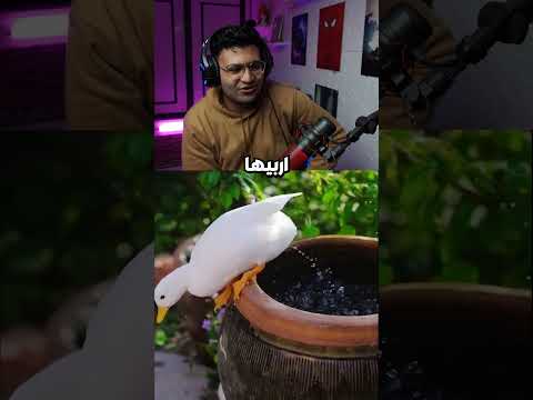 جلال لم يتوقع الفيديو ده