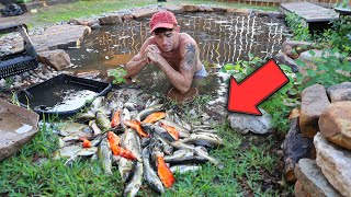 Everything DIED in the BACKYARD POND...