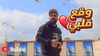 طار وماحط لف الحاره كلها 🤔  وقلت خلص ضاع 😱 3 طيور نخب طيرتهم  ثاني يوم 