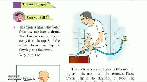 Class-4th | Subject - EVS | Chapter - 11 | A Look Inside the Body | Part -1| Explanation in Marathi