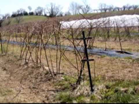 Cecil County Maryland Farm Bureau 2008 Farm Award