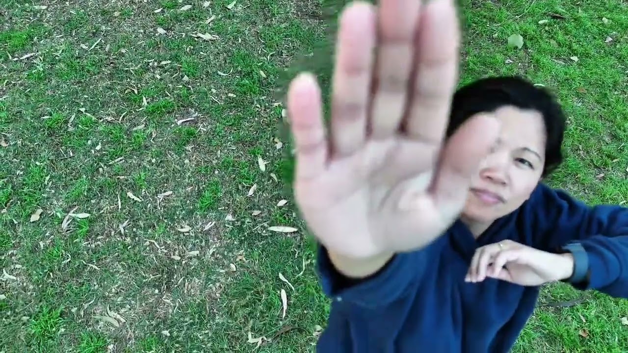 Colmslie Beach Reserve