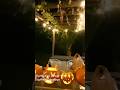 DRUMMER ,MILES ,MEATSUIT MAMI, BRICNESS CRAVED OUT PUMPKINS 🎃🎃🎃🎃