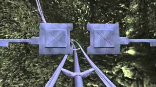 Paradiserollercoaster Американские Гонки В Раю