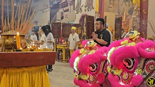 2023 Fierce Pink Lion Dance Duo Temple Praying by Xuan Long Lion Dance | Nine Emperor God Day 6